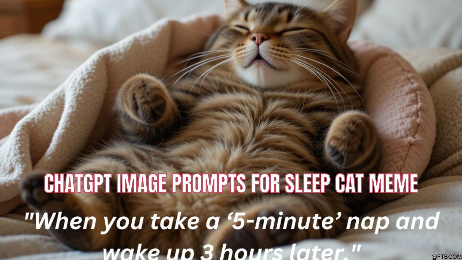 Chatgpt Image Prompts for Sleep Cat Meme